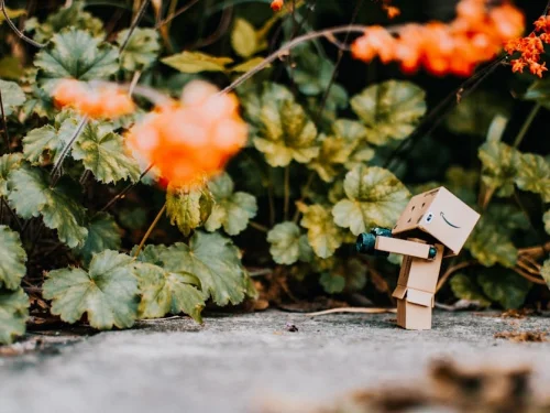 Rüyada Arkadaşımla Mezarlıkta Buluşmak