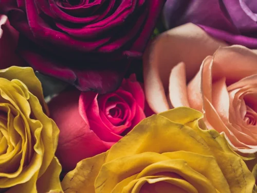 Rüyada Ayva Kaynatmak