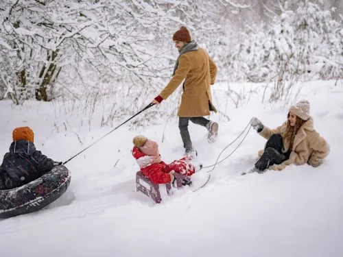 Rüyada Ayva Kompostosu İçmek