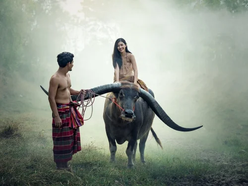 Rüyada Ayva Seçmek