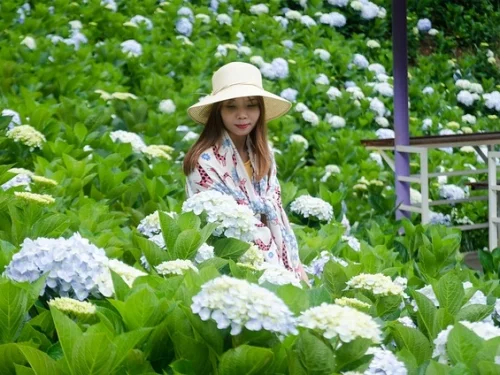 Rüyada Az Pişmiş Hindi Eti Yemek